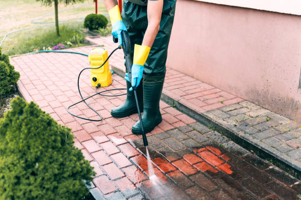 Best Fence Cleaning  in Chicago Ridge, IL